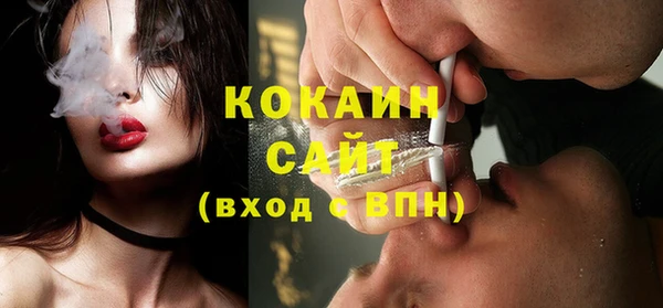 apvp Вяземский