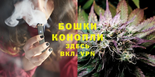 apvp Вяземский