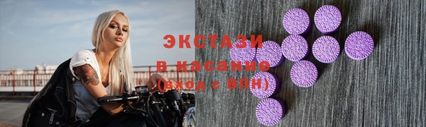apvp Вяземский